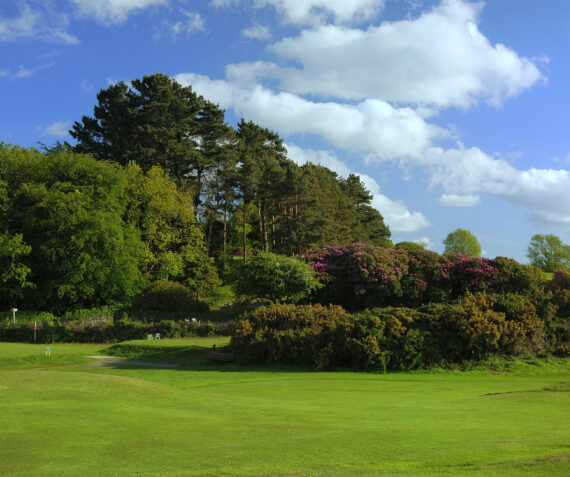 Baron Hill 8Th Tee